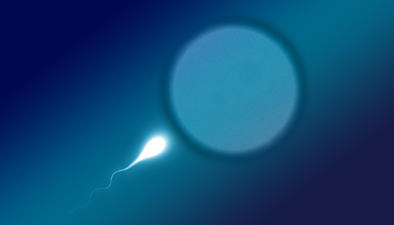 In-vitro Fertilisation (IVF)