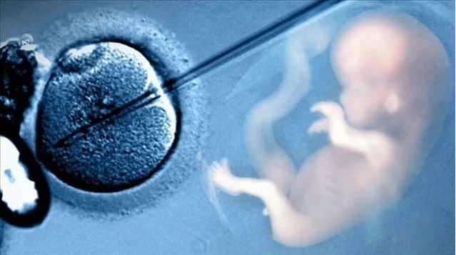 IVF Treatment in Kolkata - In Vitro Fertilisation